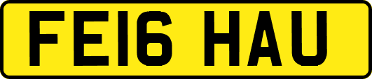 FE16HAU