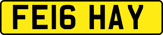 FE16HAY
