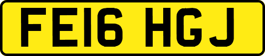 FE16HGJ