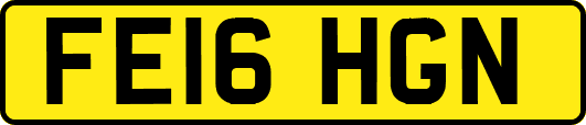 FE16HGN