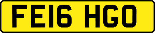 FE16HGO