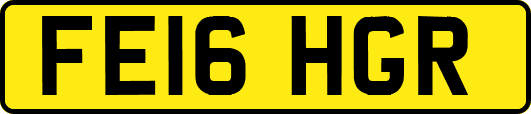 FE16HGR