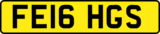 FE16HGS