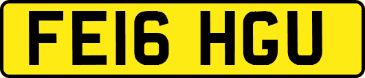 FE16HGU