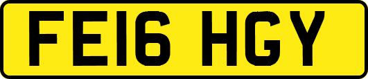FE16HGY