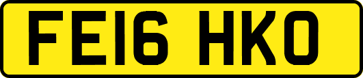 FE16HKO