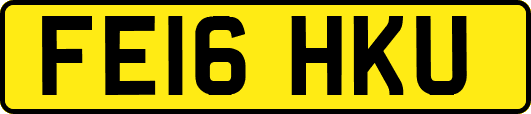 FE16HKU