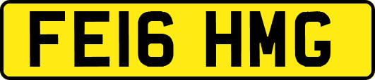 FE16HMG