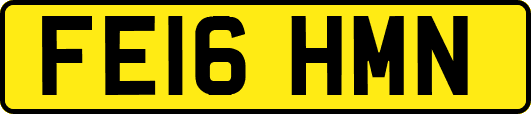 FE16HMN