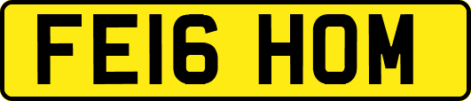 FE16HOM