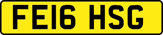FE16HSG