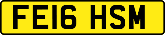 FE16HSM