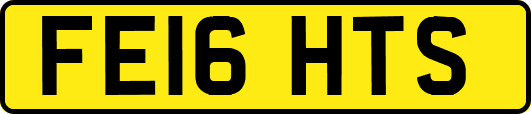 FE16HTS