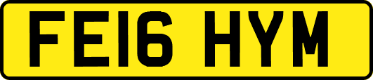 FE16HYM