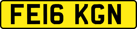 FE16KGN
