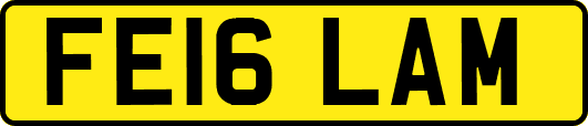 FE16LAM