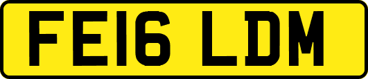 FE16LDM