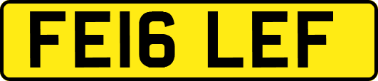 FE16LEF