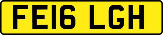 FE16LGH