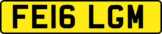 FE16LGM