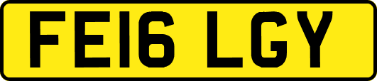 FE16LGY