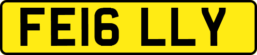 FE16LLY
