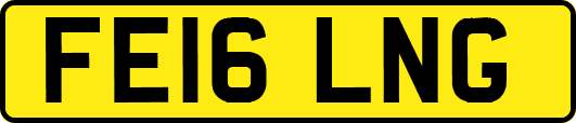 FE16LNG