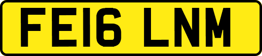 FE16LNM