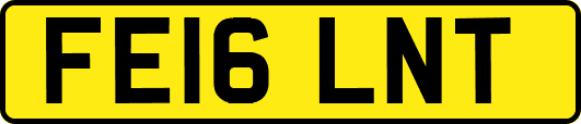FE16LNT