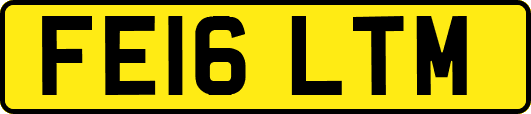 FE16LTM