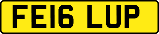 FE16LUP