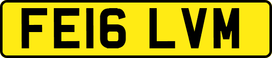 FE16LVM