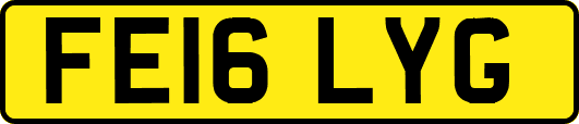 FE16LYG