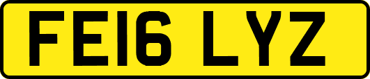 FE16LYZ