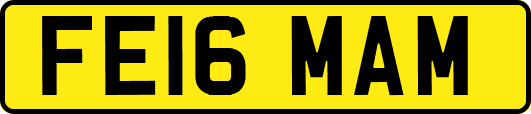 FE16MAM