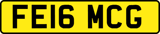 FE16MCG