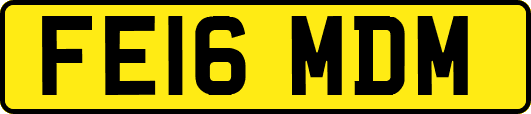 FE16MDM