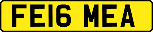 FE16MEA