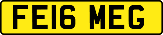 FE16MEG