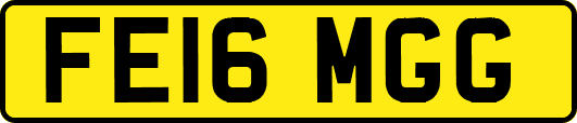 FE16MGG