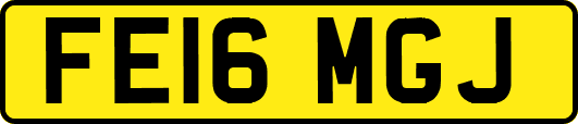 FE16MGJ