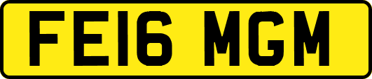 FE16MGM