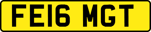 FE16MGT