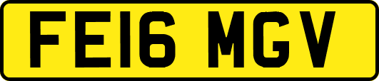 FE16MGV