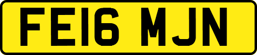FE16MJN