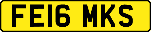 FE16MKS