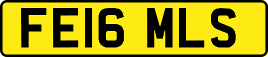 FE16MLS