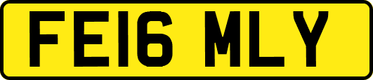FE16MLY