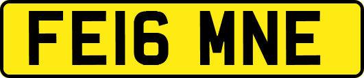 FE16MNE