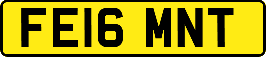 FE16MNT